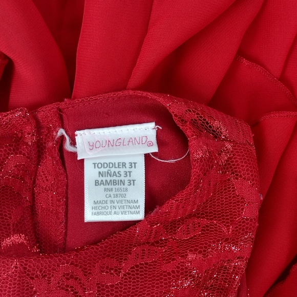 Red Rose Petal Dress - Picture 4 of 4